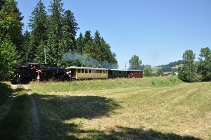 Wiese Wald und Dampfzug