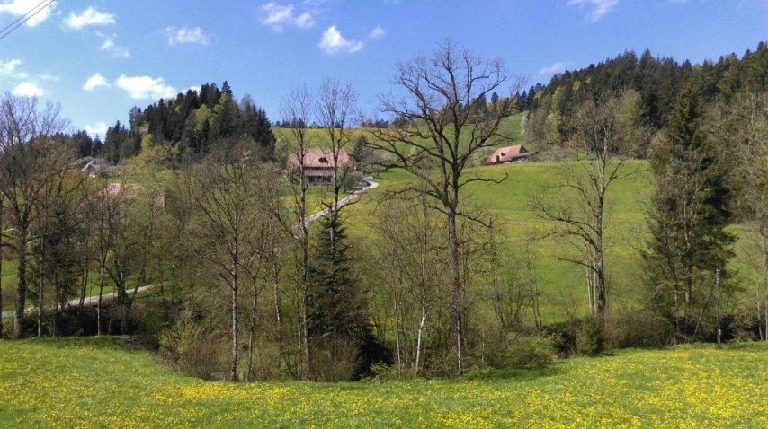 Intakte Landschaft entlang der Strecke